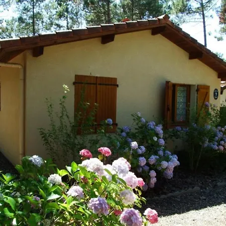 Maison Messanges, 4 Pieces, 6 Personnes - Fr-1-379-41 Messanges (Landes)